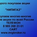Покупаем акции ОАО НИПИГАЗ и любые другие акции по всей России