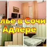 Снять жилье Сочи частный сектор Адлер Сириус +79184084389