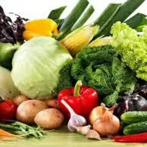 Оптом овощи и фрукты