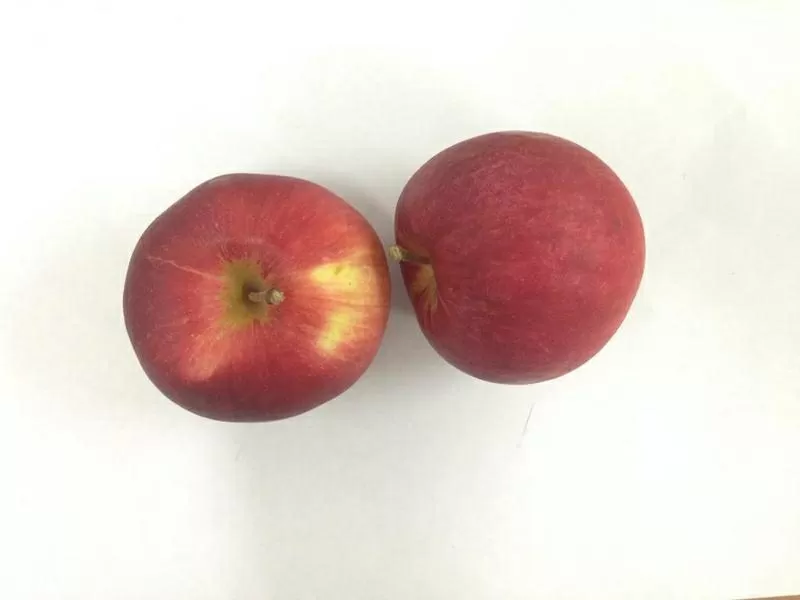 Калиброванные яблоки