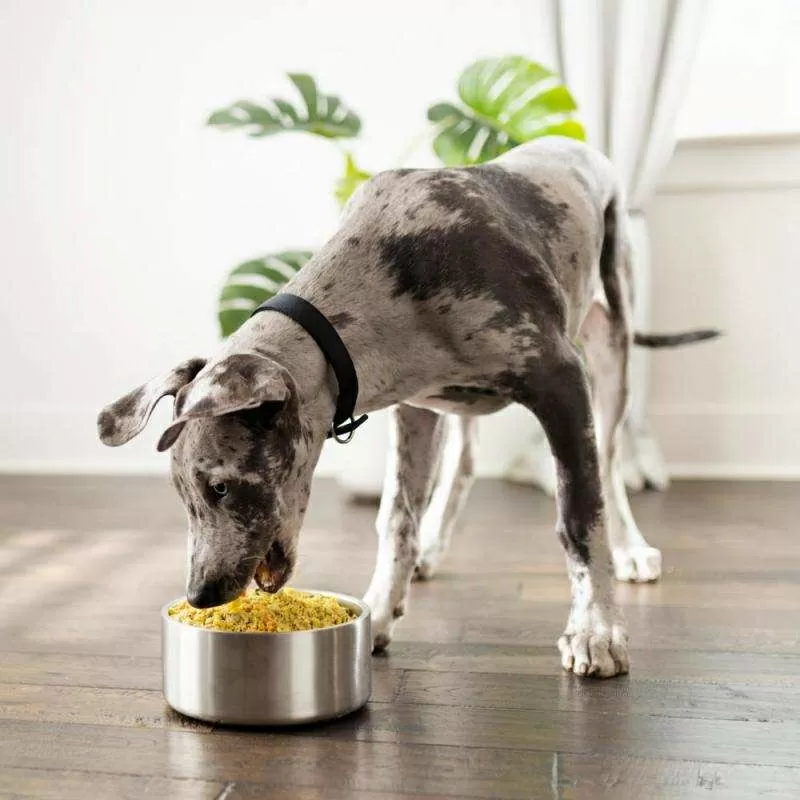 Наборы еды для собак,  подобранные по рекомендации диетолога 3