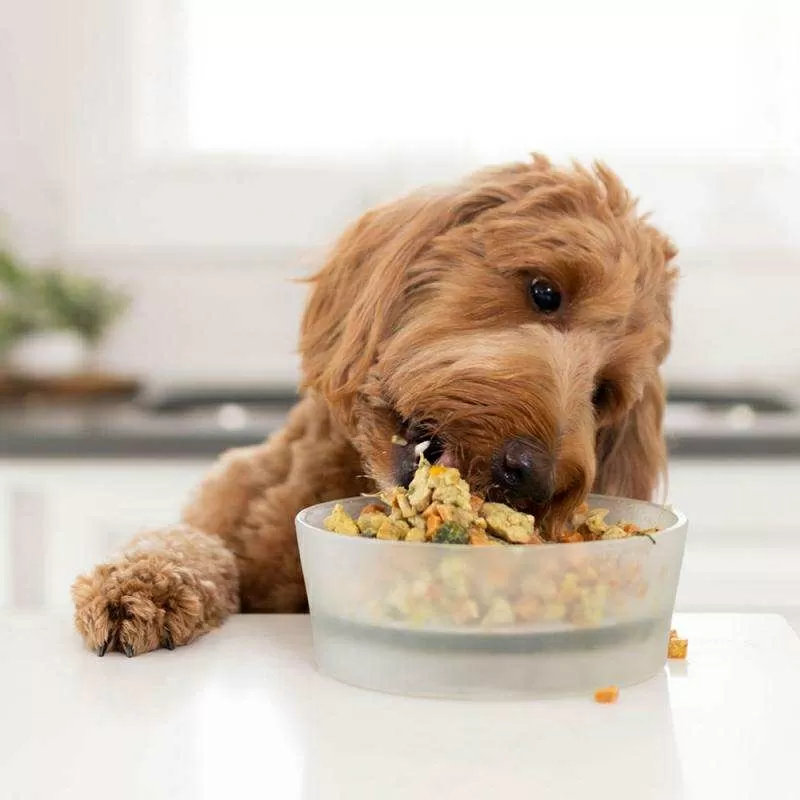 Наборы еды для собак,  подобранные по рекомендации диетолога 4